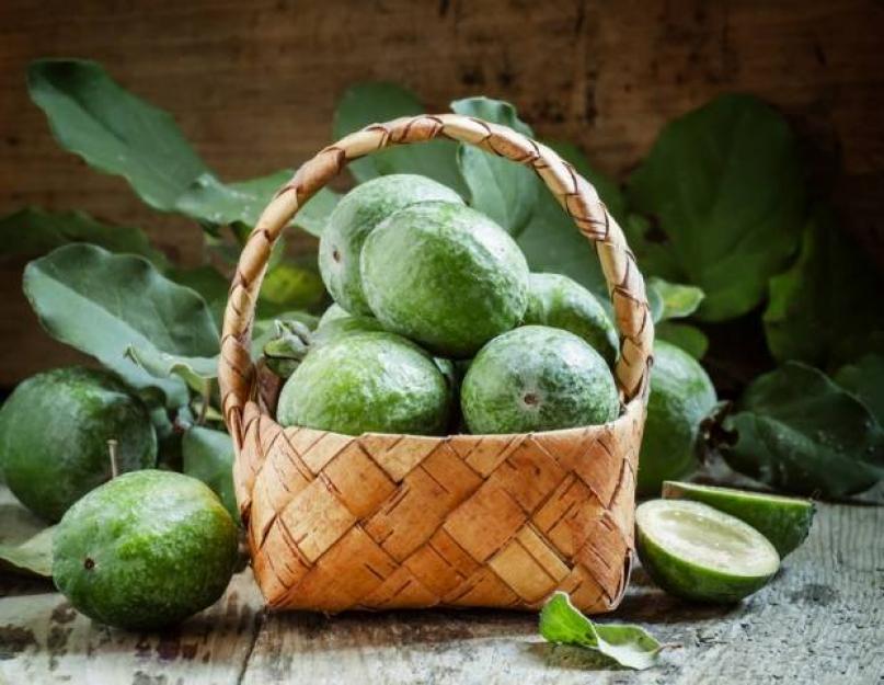 what is feijoa and how to use it