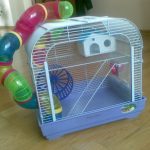 maison originale pour un hamster