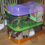 maison de hamster à deux niveaux