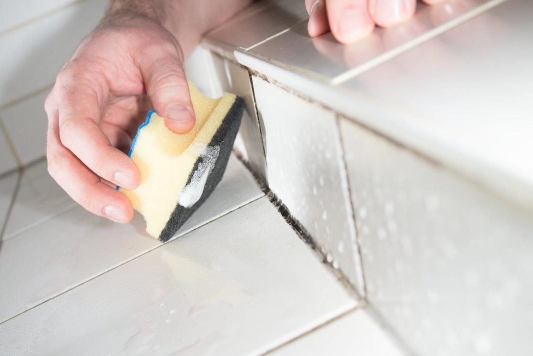 cleaning the bathroom from mold