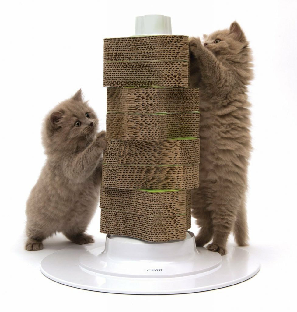 scratching post for kitten