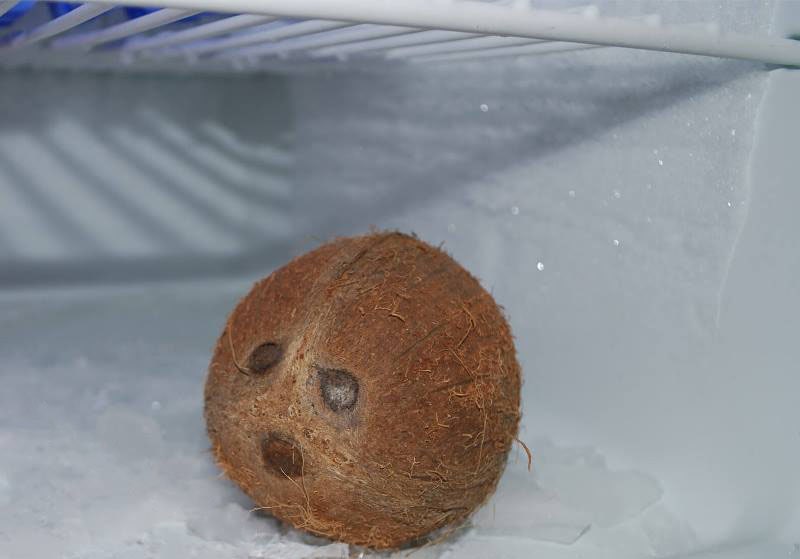 coconut in the freezer