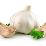 garlic