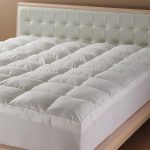 bed mattress options