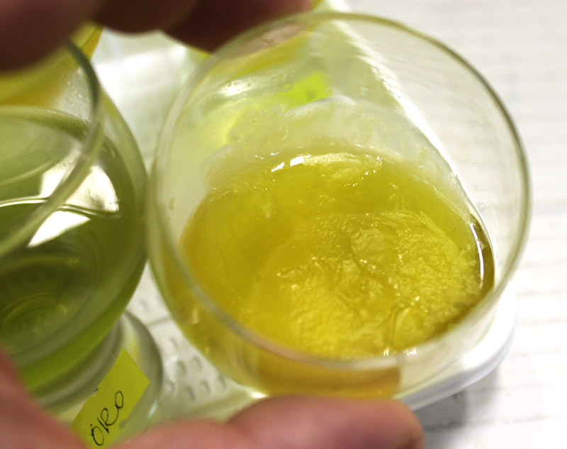 olive oil crystallizes