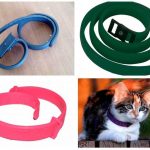 choose a flea collar for a cat