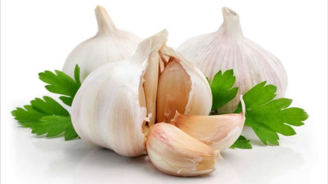 Garlic