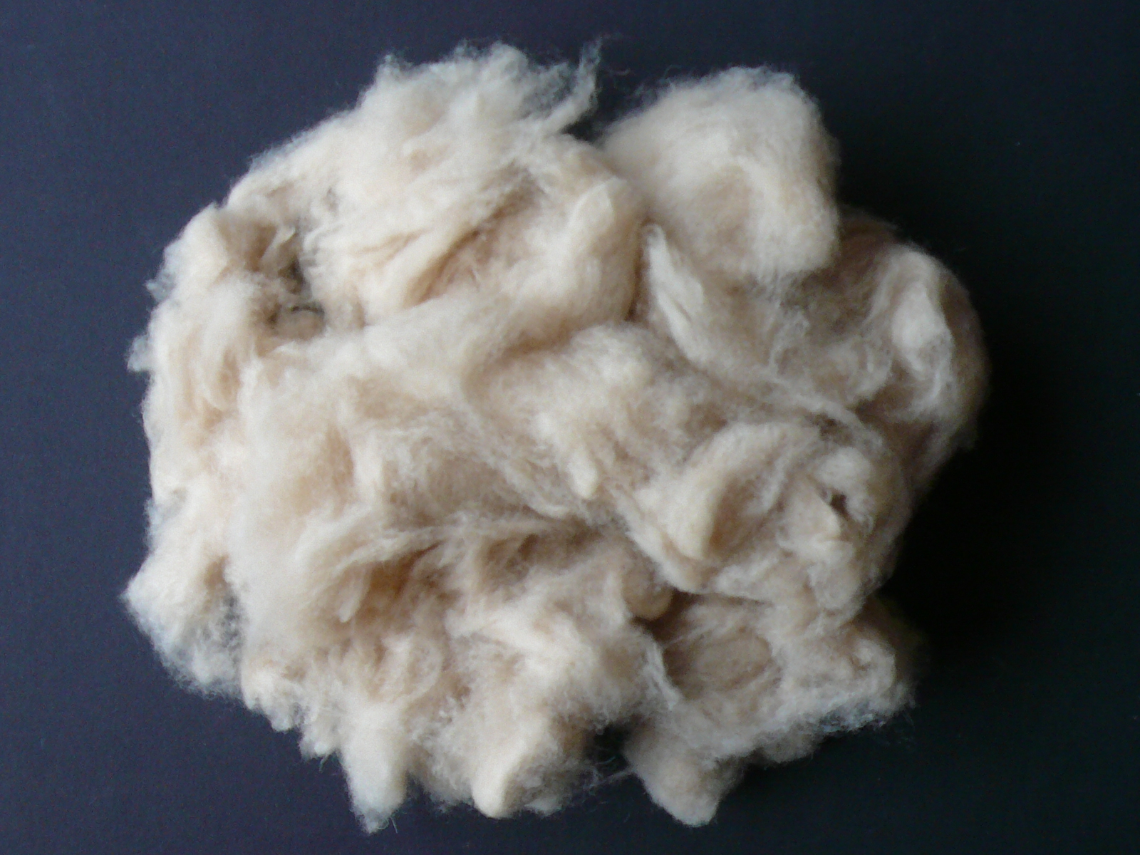 sheep's wool