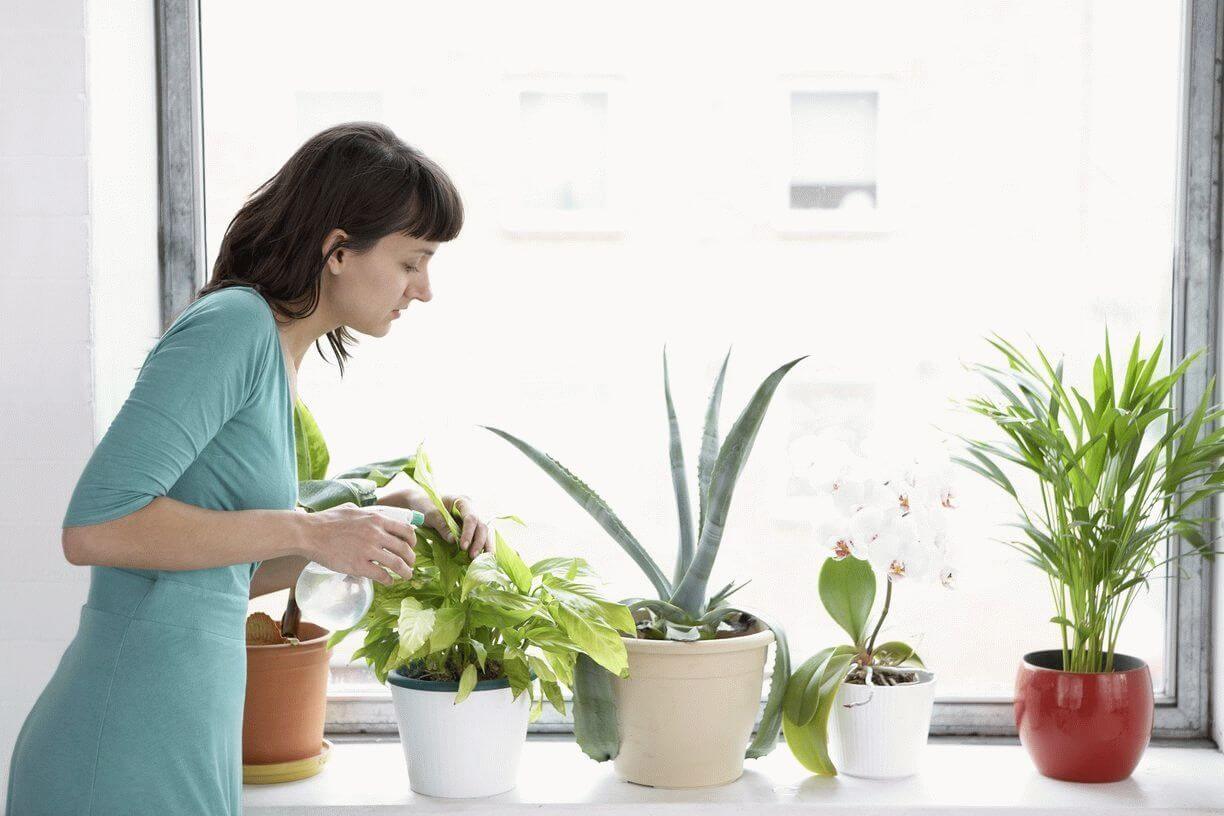 watering method