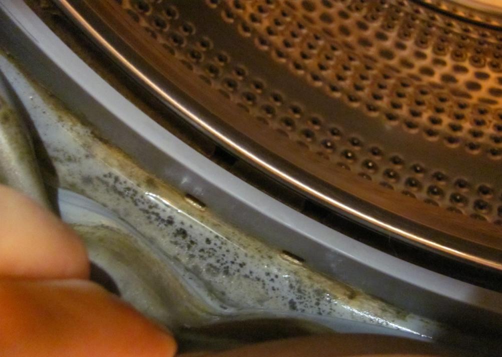 mold in the washing machine on an elastic band