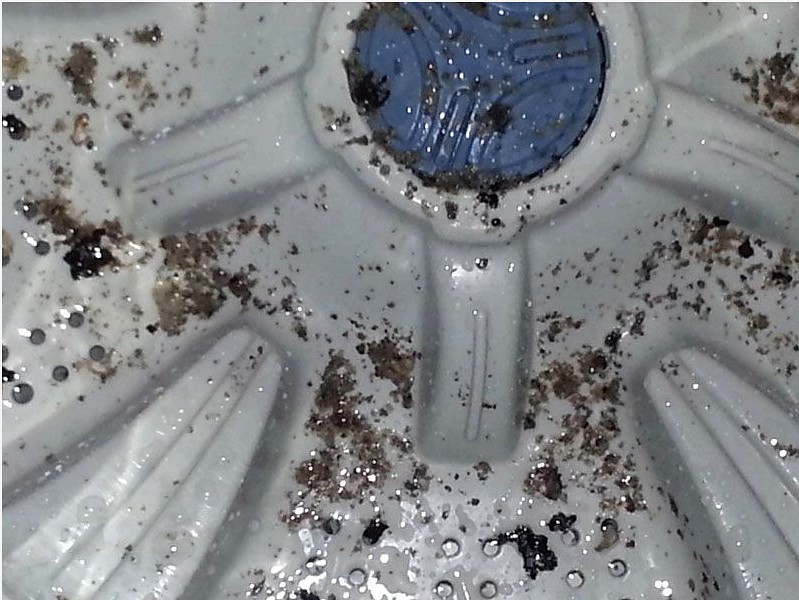 mold in the washing machine