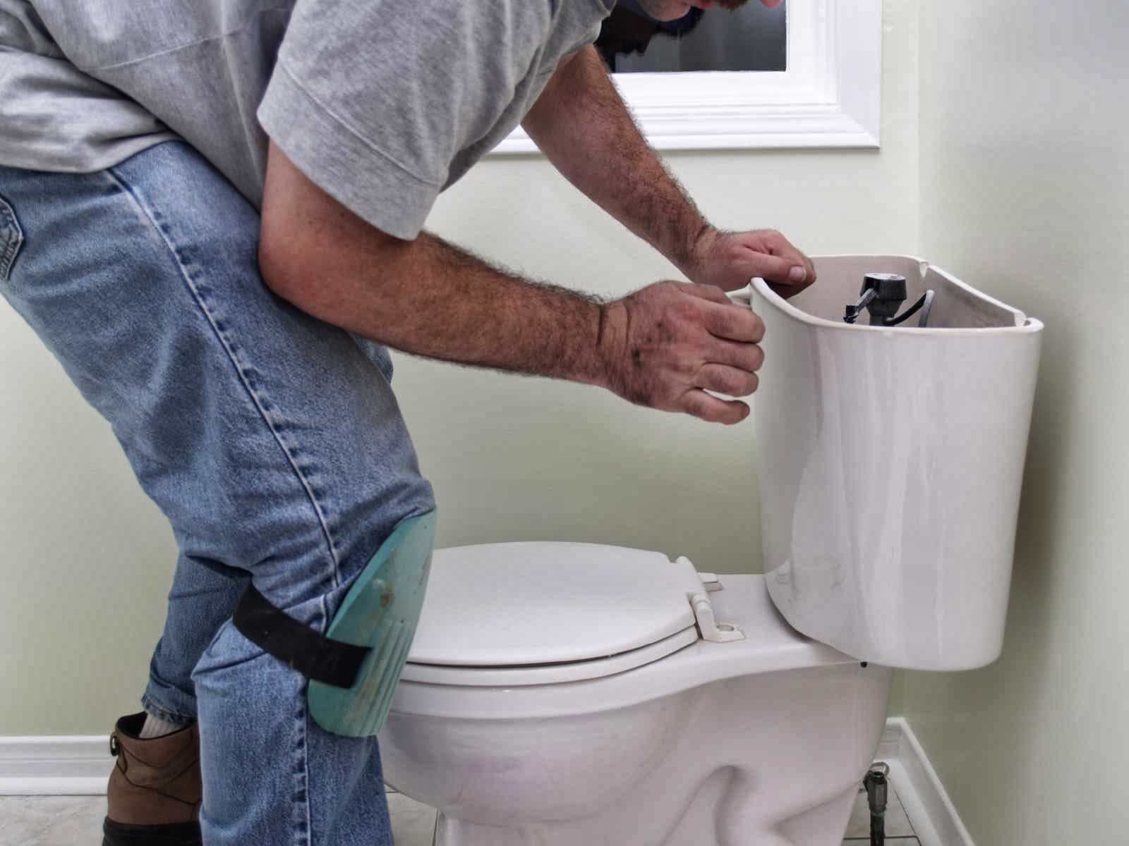 toilet flush system repair