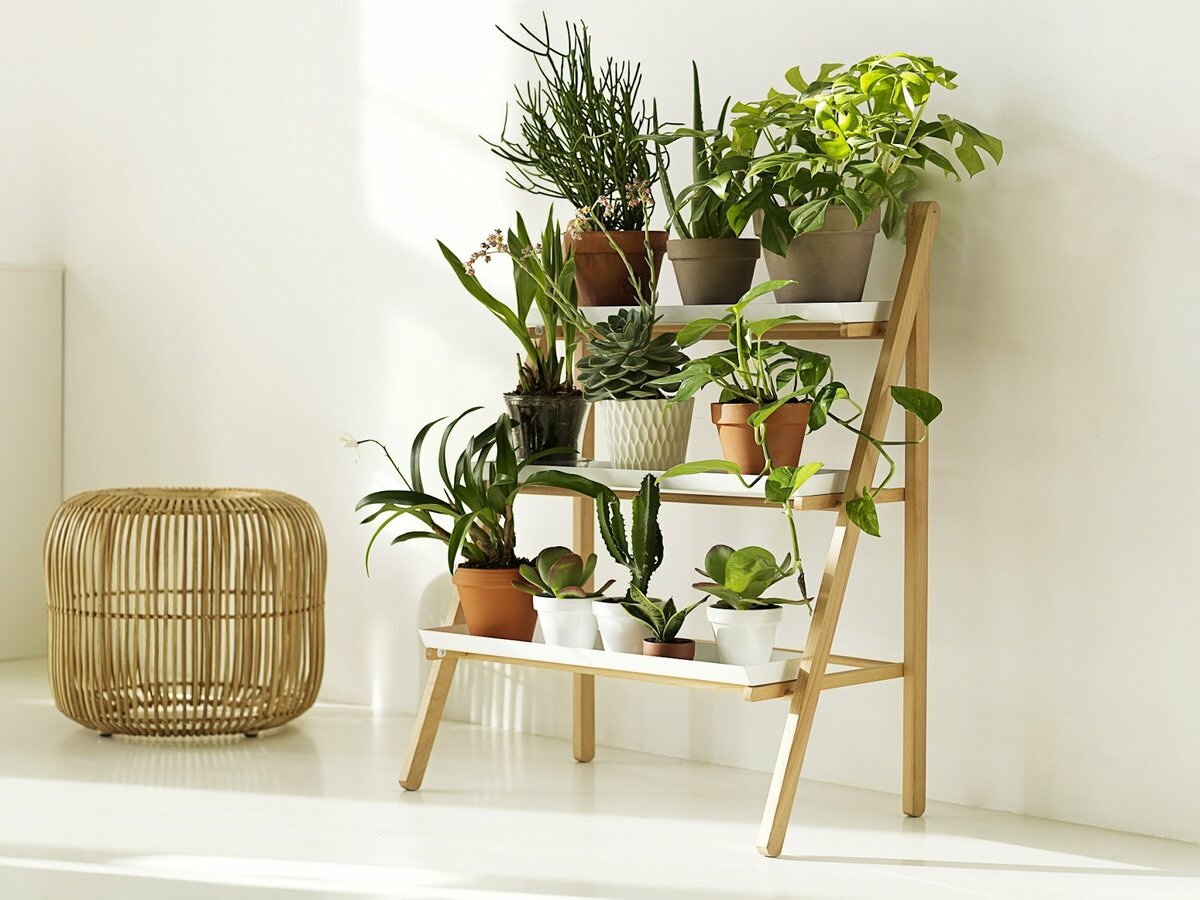 shelves for flowers