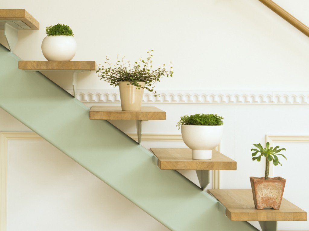 flower shelves photo