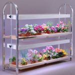 flower shelves photo decor