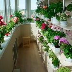 flower shelves decor ideas