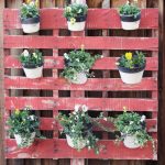 flower shelves photo options