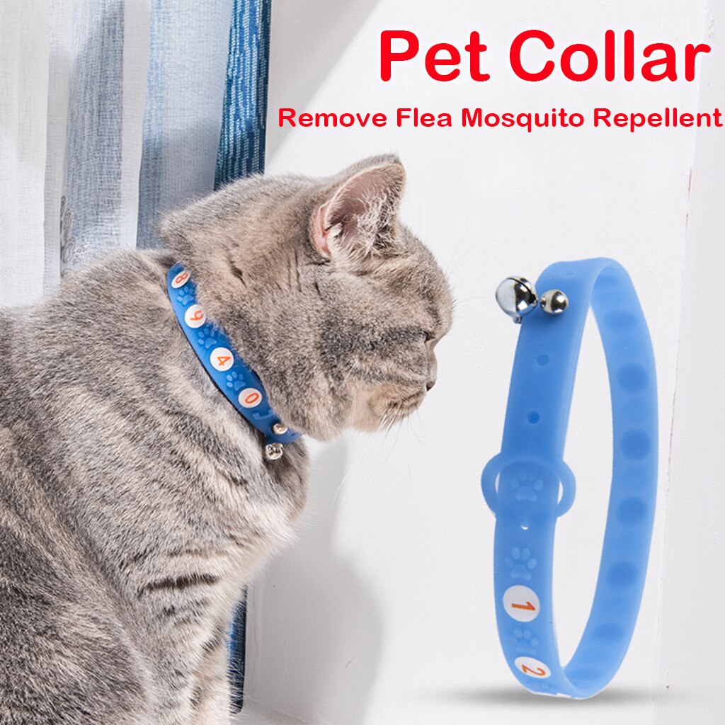 collar for cat