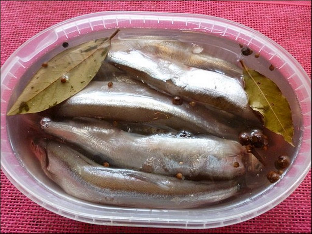 fish in brine