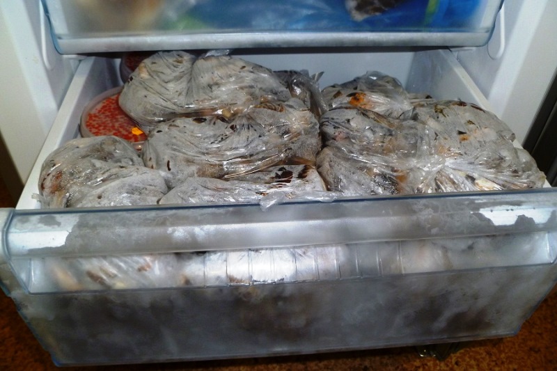 dried fish in the refrigerator