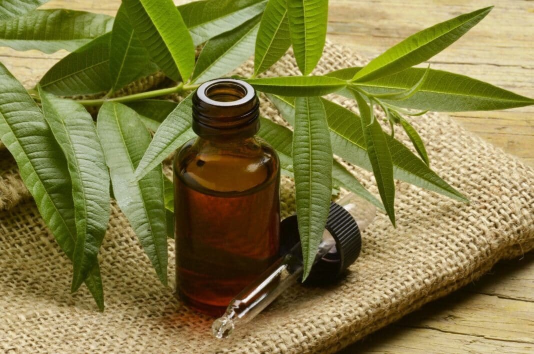 tea tree oil