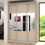 wardrobe in the interior design ideas