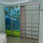 built-in wardrobe with landscape