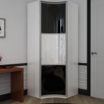 wardrobe in the hallway interior ideas