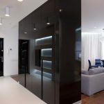 wardrobe in the hallway types of design