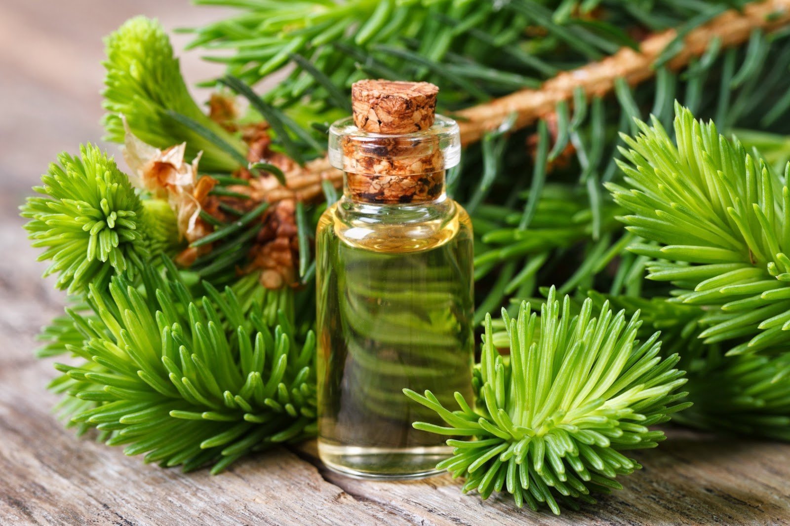 pine oil for aromatization at home