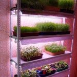 stationary seedling rack