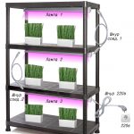 seedling rack lighting scheme