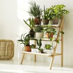 rack for growing seedlings decor photo