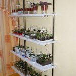 rack for growing seedlings types of design