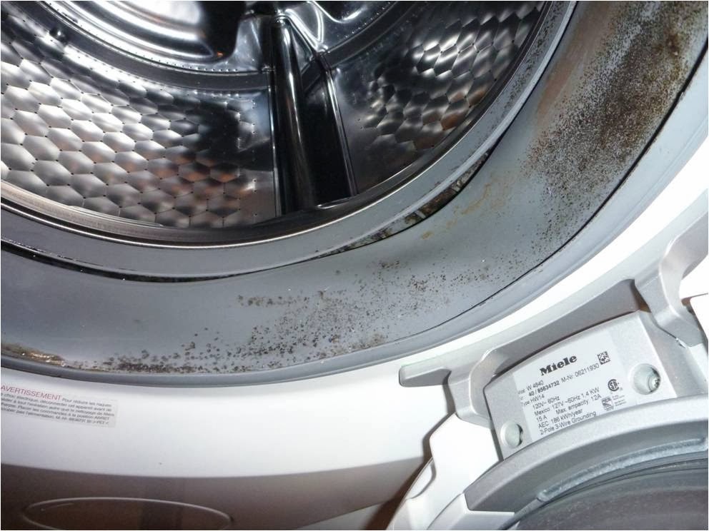 washing machine with mold