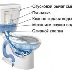 диаграма на тоалетната чиния