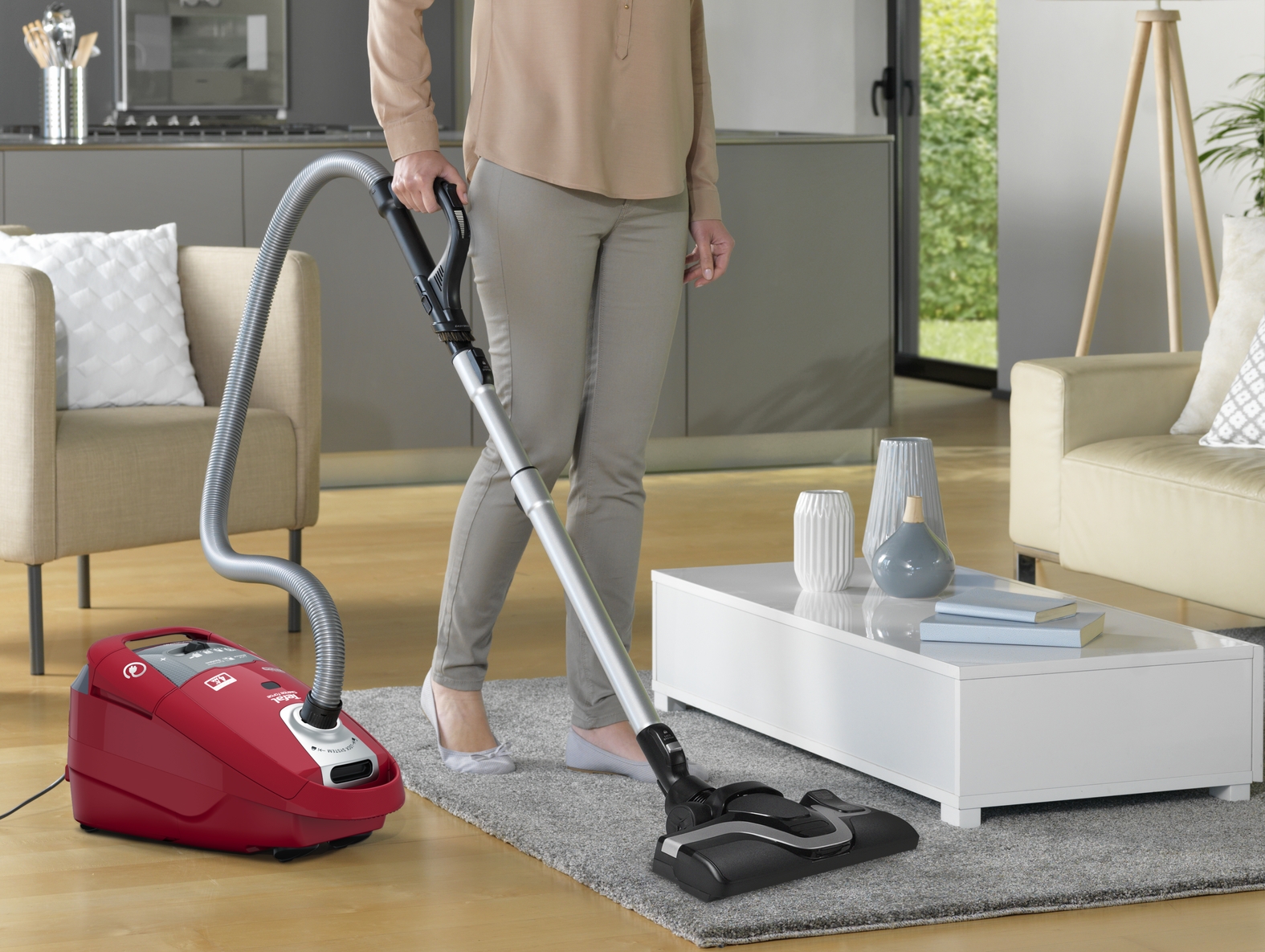 Vacuum cleaner model tefal