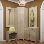 corner wardrobe in the hallway with a curbstone