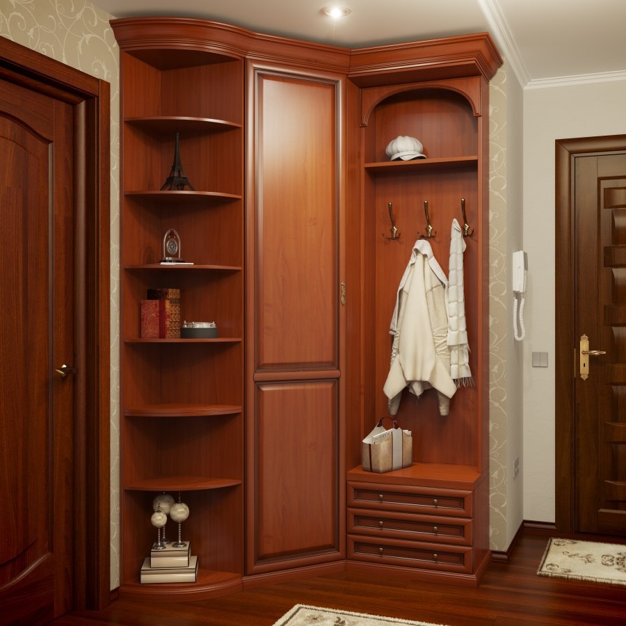 wardrobe in the interior of the hallway