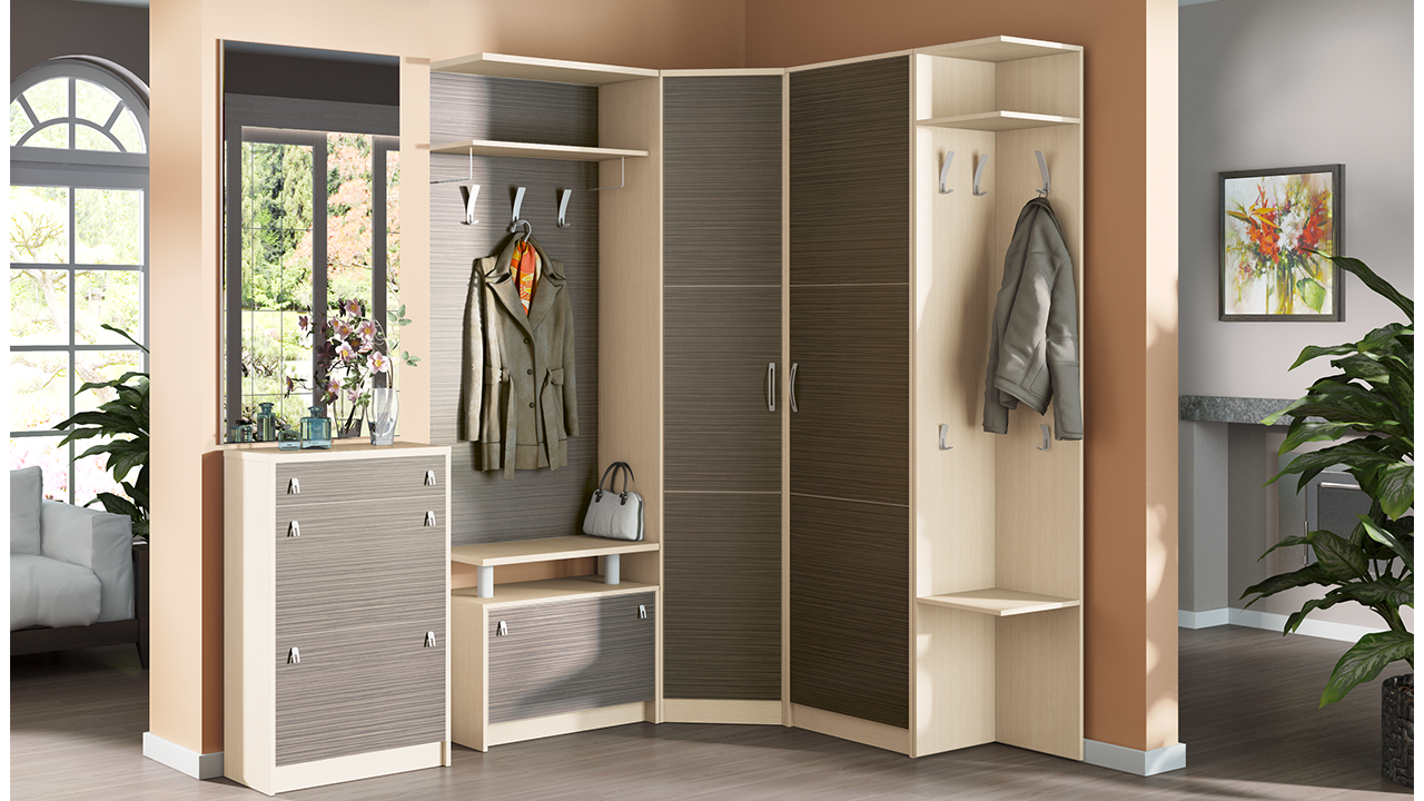 wardrobe in the hallway