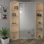 wardrobe in the living room