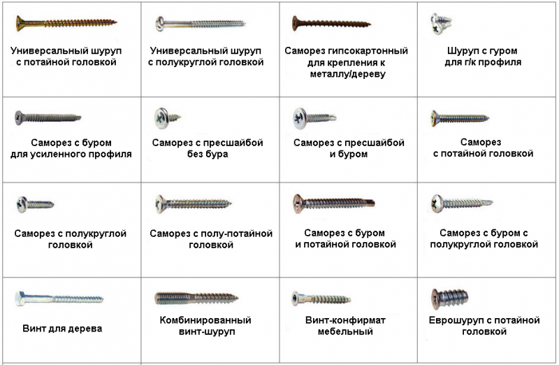 types of screws