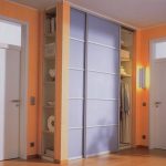 built-in wardrobe with stretch ceiling types of ideas