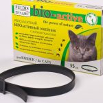 collier bio anti-puces pour chat