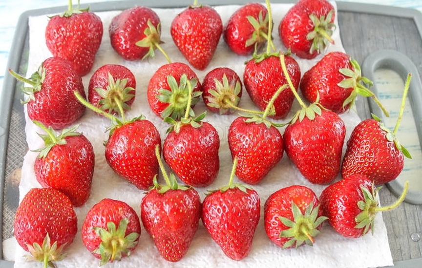 berries in the fridge