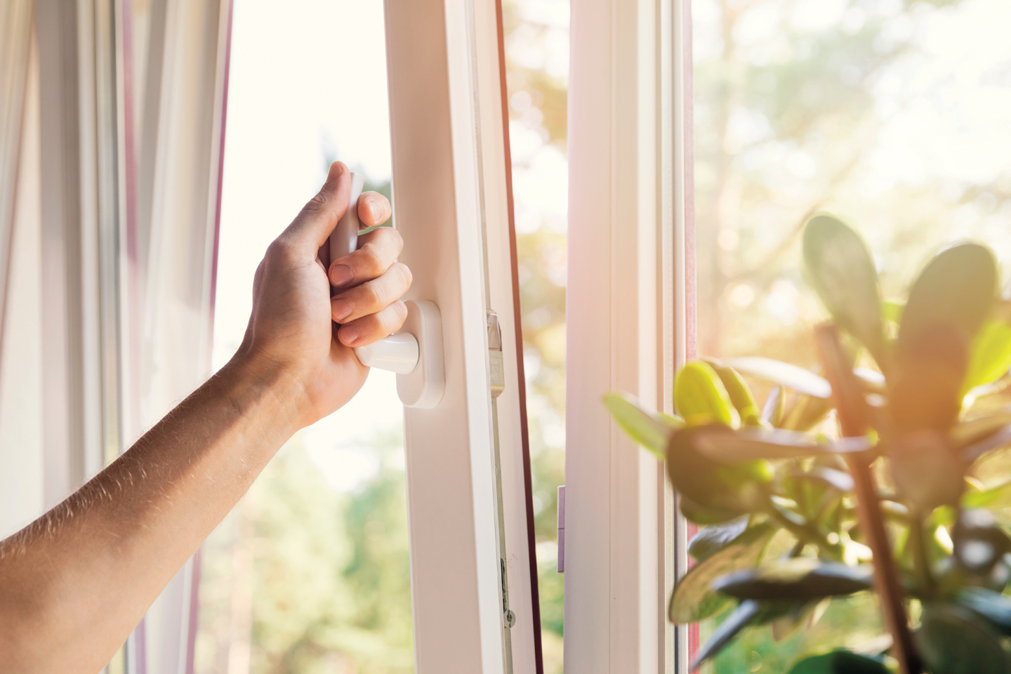 wash the blinds