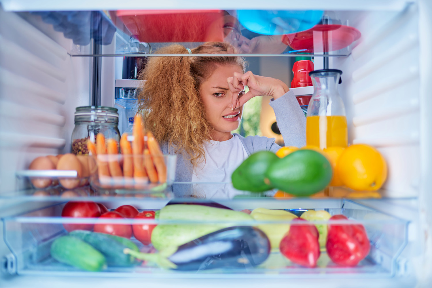 Fridge