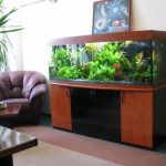 armoire d'aquarium grand