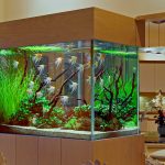 light aquarium cabinet