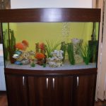 bordure d'aquarium sombre